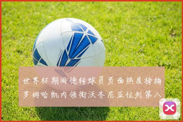 世界杯期间德转球员页面热度榜梅罗姆哈凯内领衔沃齐尼亚位列第八