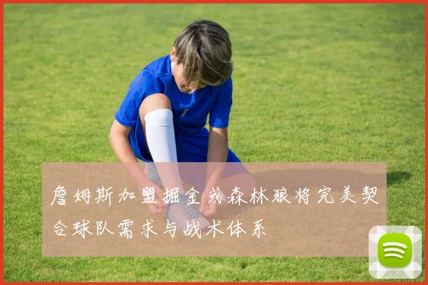 詹姆斯加盟掘金或森林狼将完美契合球队需求与战术体系